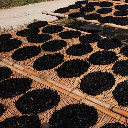 舌尖上的中國.霞浦紫菜